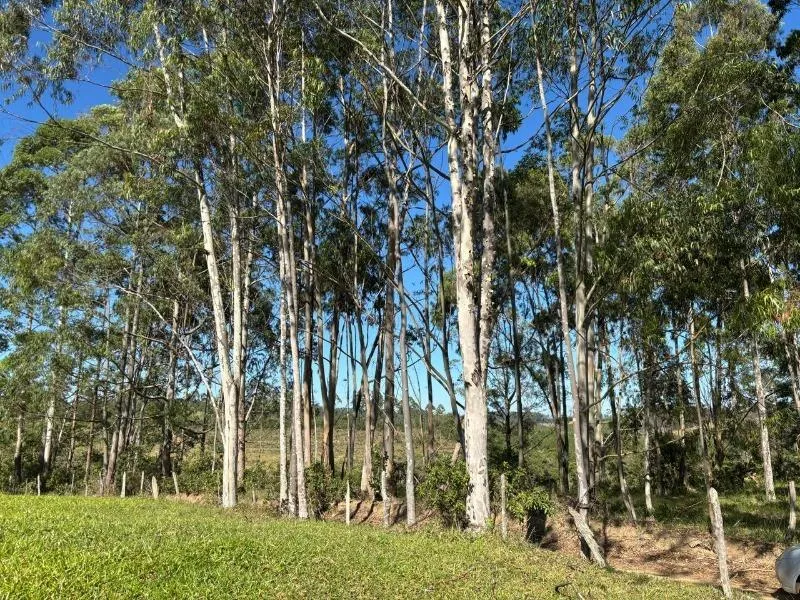 Imagem FAZENDA À VENDA - DESTERRO DE ENTRE RIOS (MG) 51 hectares de área total