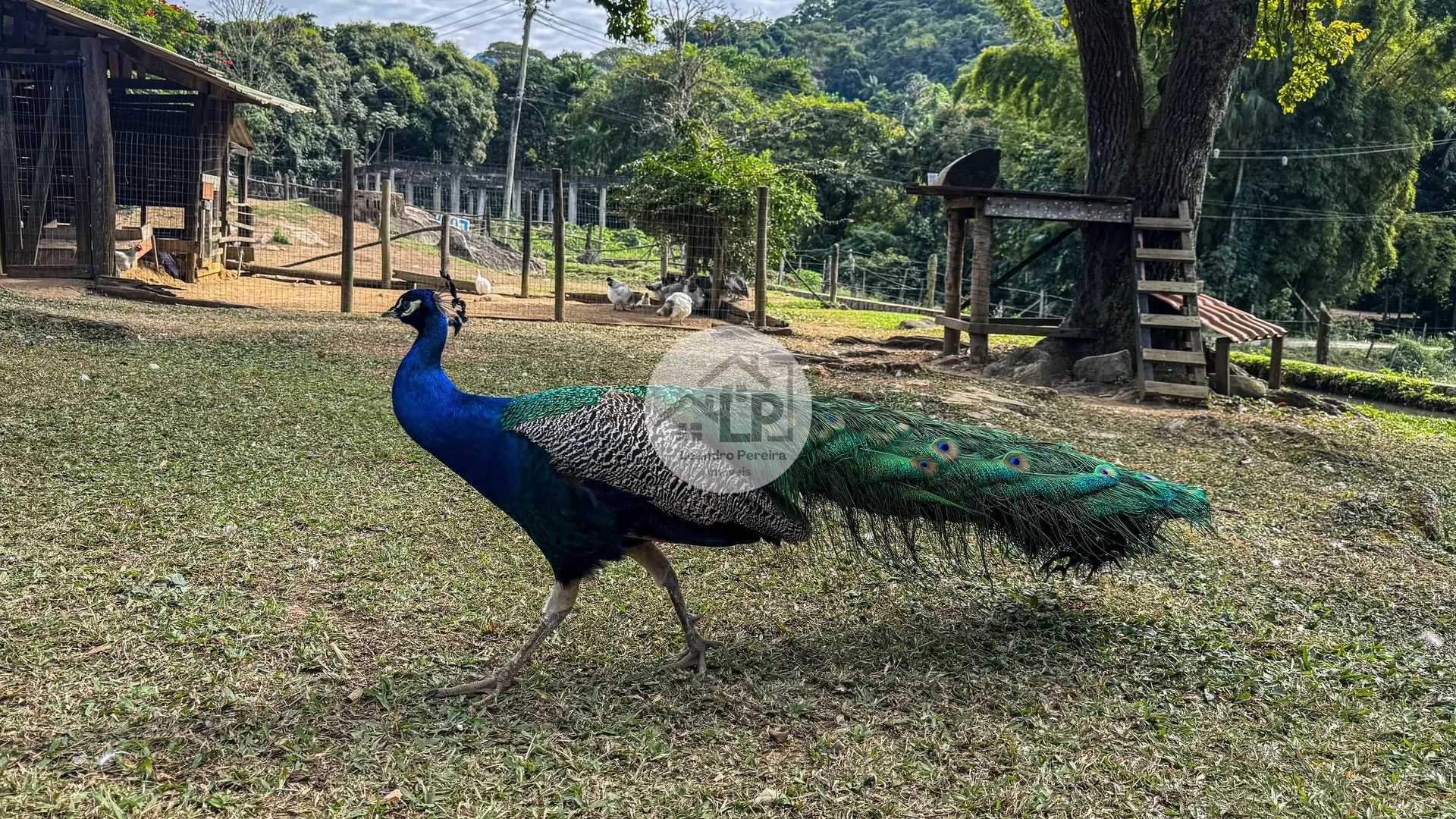 Imagem Fazenda/Sítios/Chácaras de 3 quartos, 150m² no bairro Penedo, em Itatiaia
