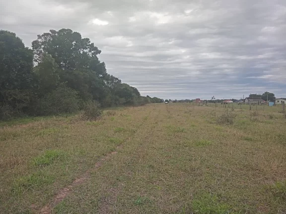 Imagem EXCELENTE LOGÍSTICA!!! Sitio de 2 Hectares com Casa, Boa Vista, Viamão