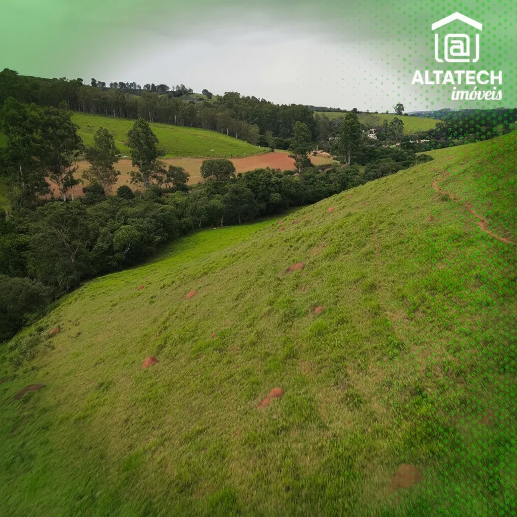 Imagem Sítio 15 m² à venda em Roseira, Bandeira do Sul