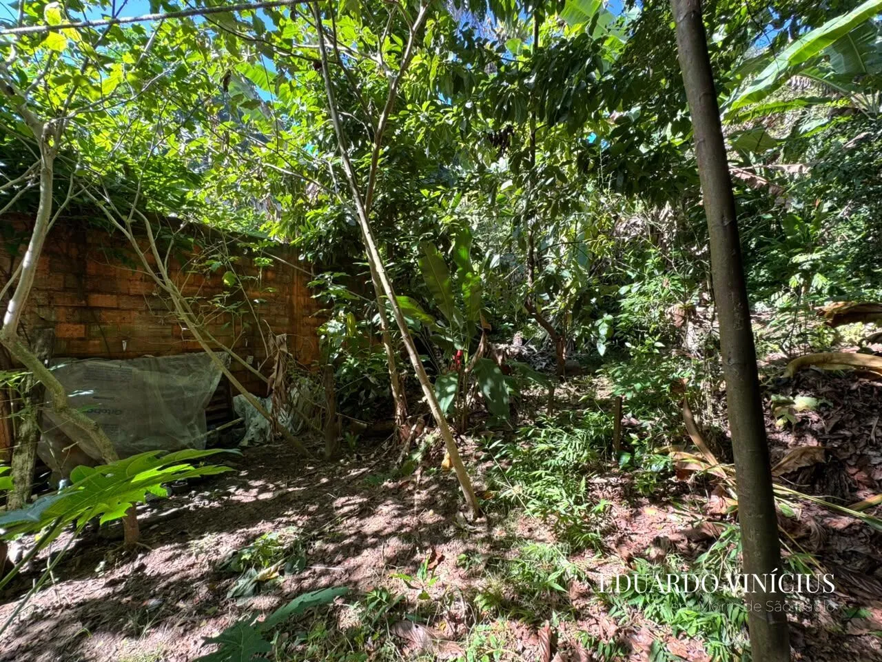 Imagem Terreno com 600m² À Venda na Fonte Grande em Morro de São Paulo