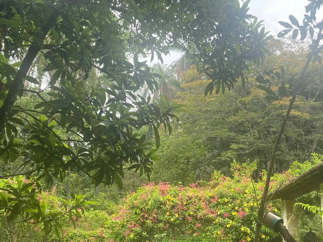 Imagem Oportunidade Única: Fazenda/Área Comercial em Betim/MG 40 hectares