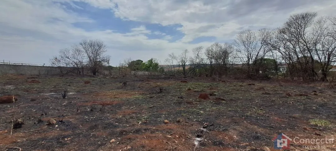 Foto do imóvel Terreno Residencial à venda, Alto dos Caiçaras, Patos de Minas - TE0084.
