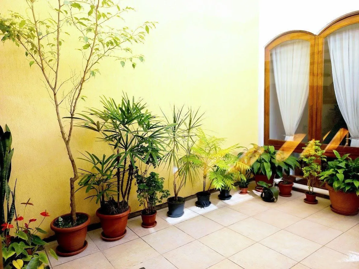 Imagem Casa em Santana