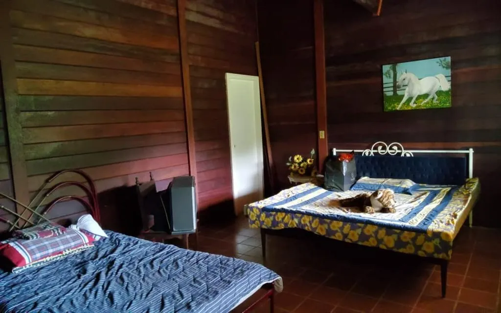 Imagem Lindo Sitio em Pedro de Toledo