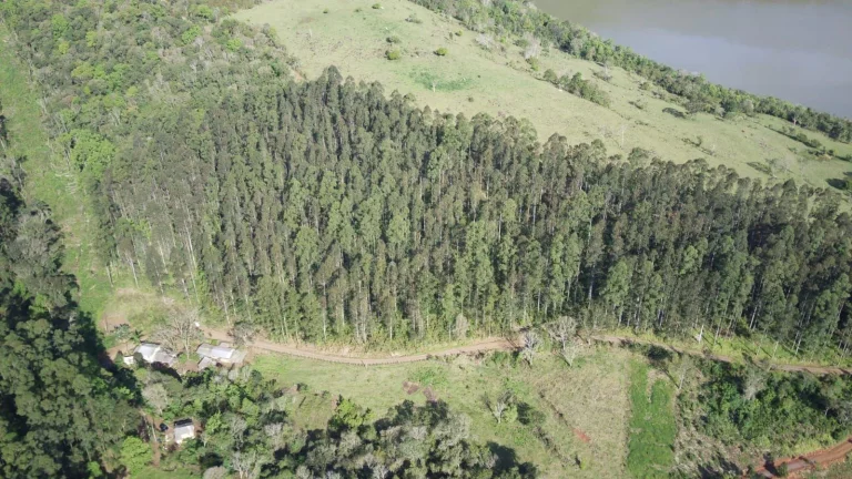 Imagem Terreno para Venda em Arabuta, Interior