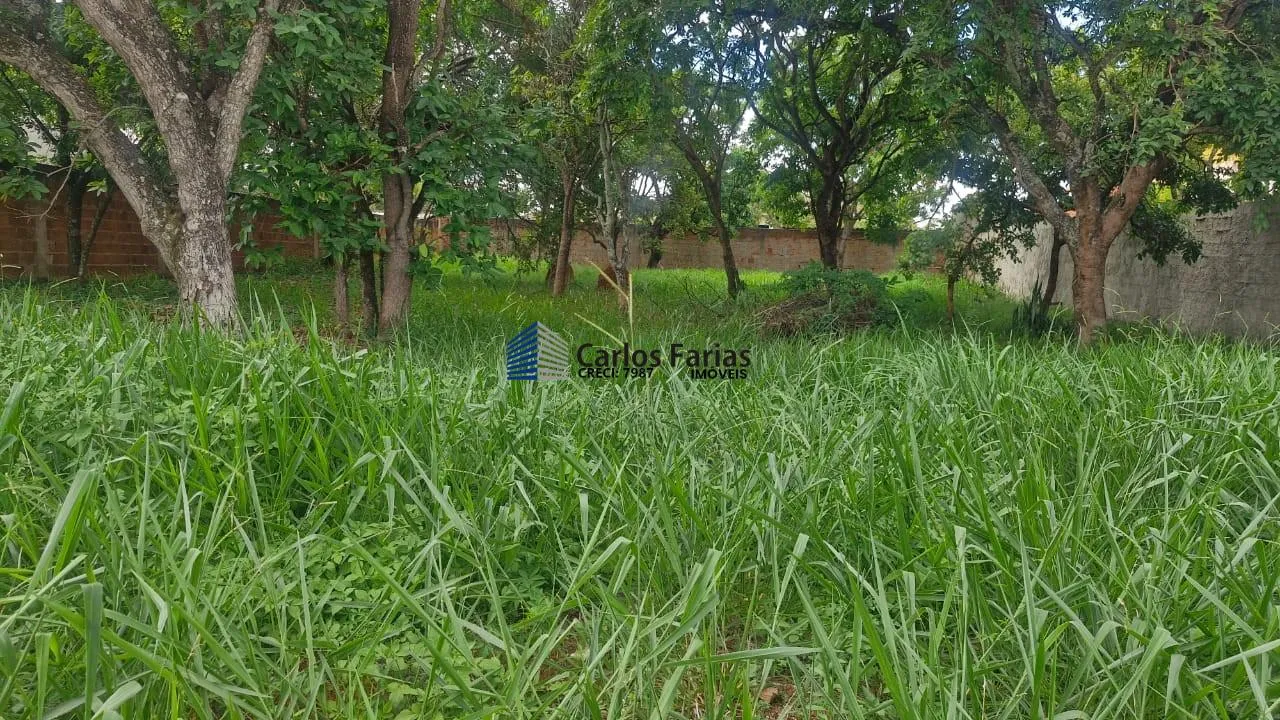 Imagem Lote em Condomínio Fechado para Venda em Brasília, Setor Habitacional Tororó (Jardim Botânico)