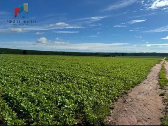 Imagem Fazenda região de Avaré SP