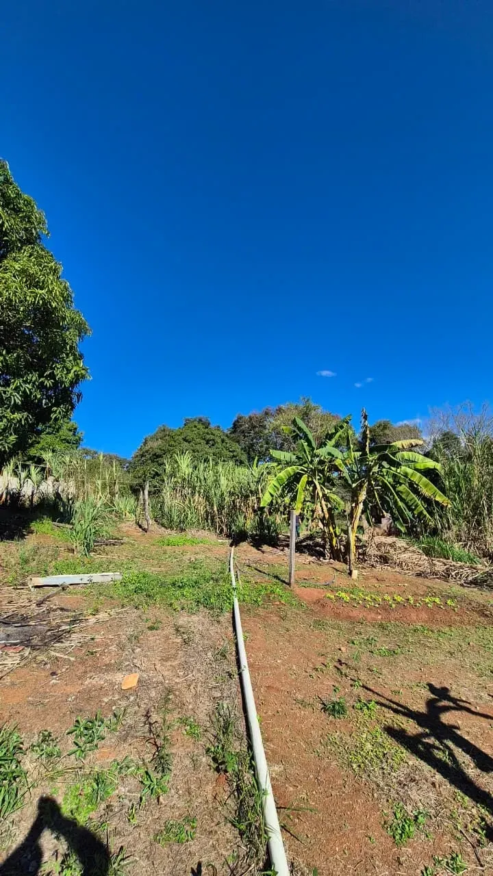 Imagem Sítio à Venda, 4 hectare em Monte Santo de Minas - Monte Santo de Minas