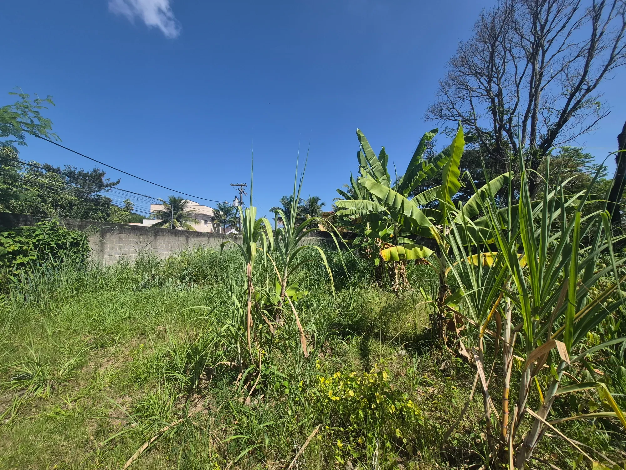 Imagem Terreno à Venda, 180 metros em Maravista - Niterói