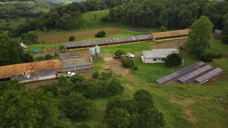 Imagem Área Agrícola para Venda em Concórdia, Interior