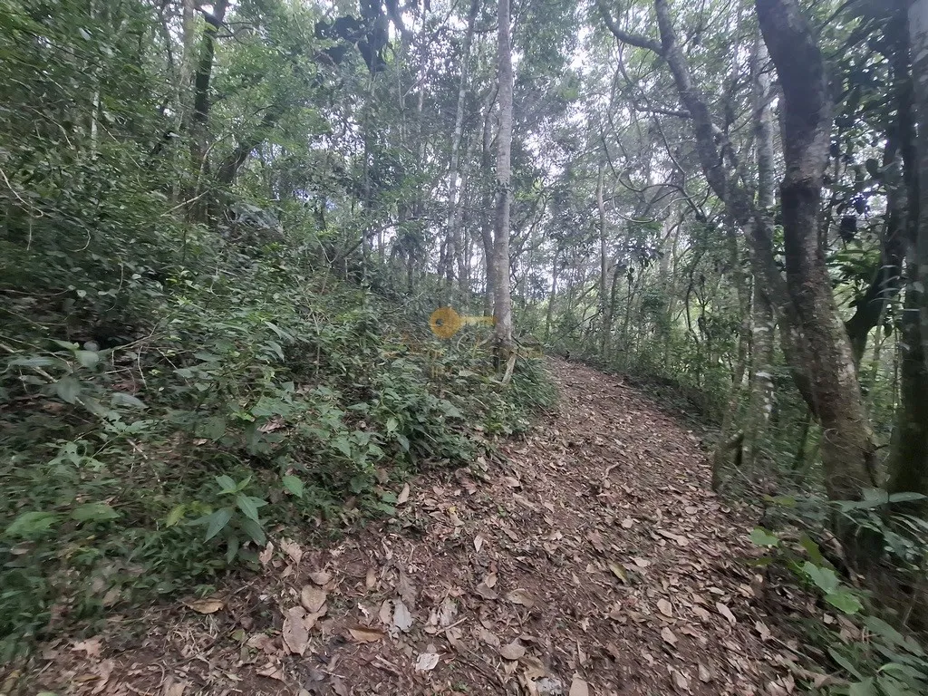 Imagem Terreno para Venda em Teresópolis / RJ no bairro Córrego das Pedras