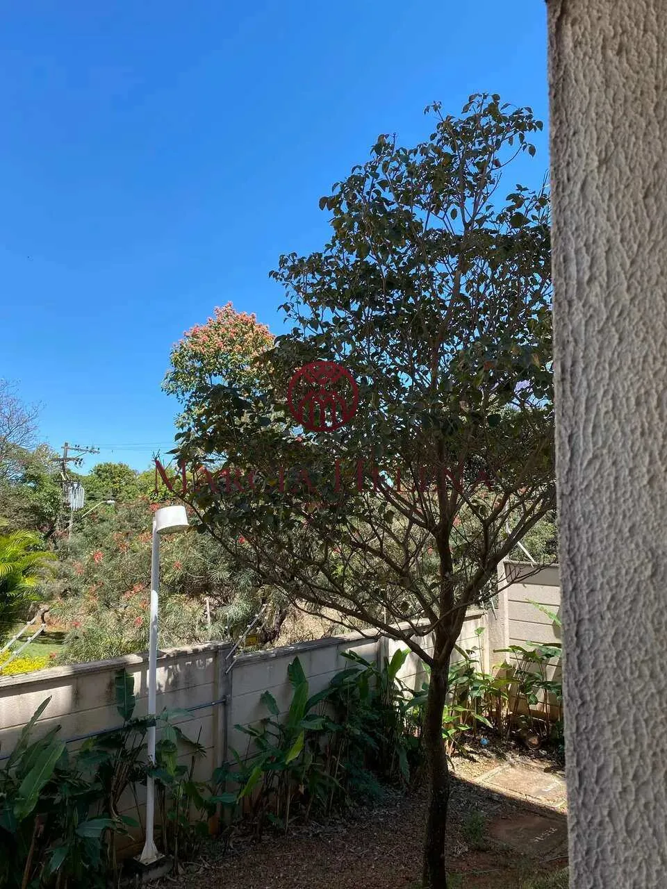 Imagem Apartamento à venda, no Jardim Amazonas | Campinas/SP