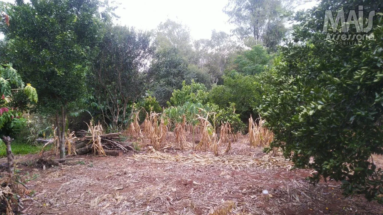 Imagem Terreno para Venda em São Leopoldo / RS no bairro Campestre