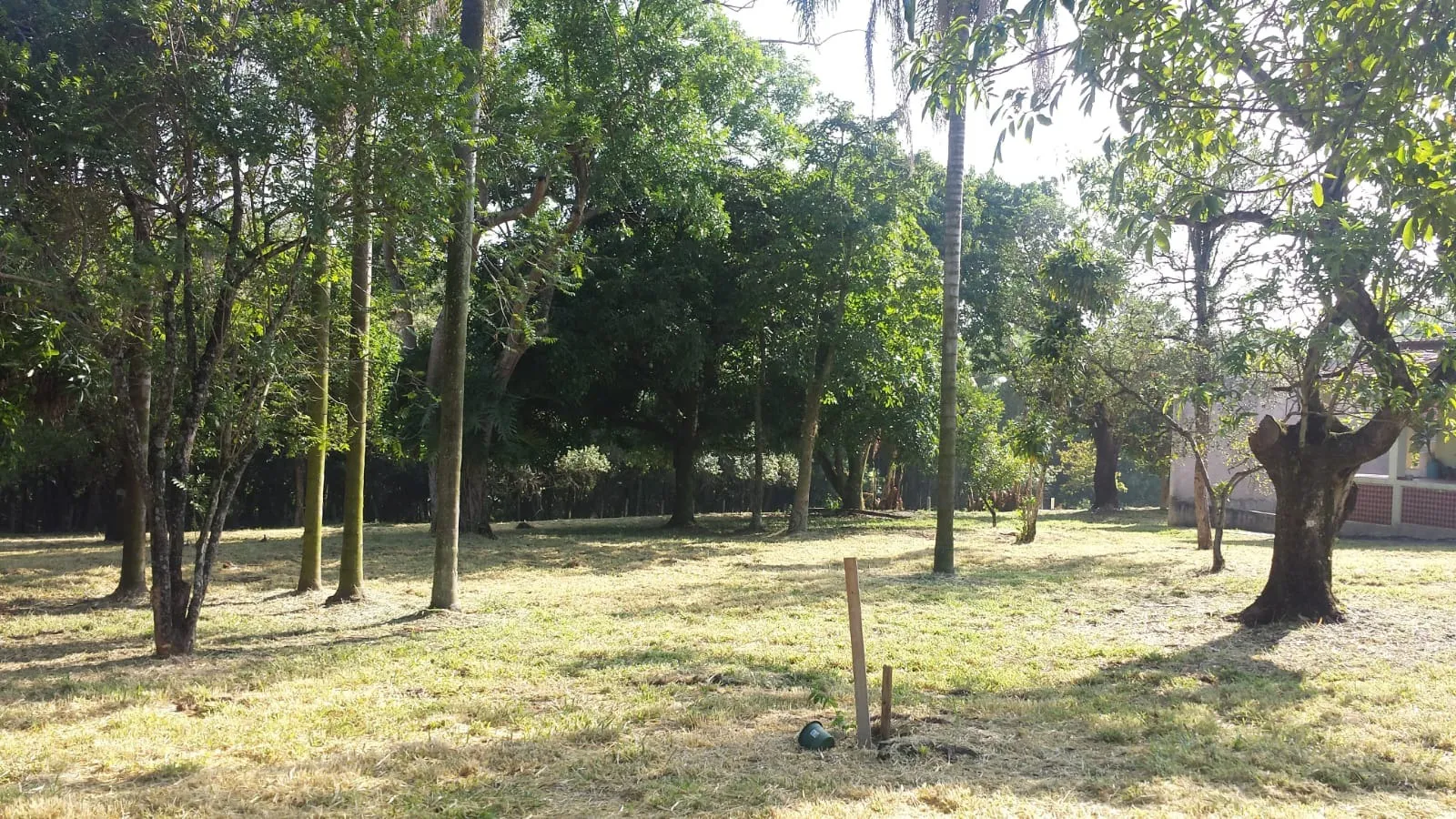 Imagem Chácara com 8925,30m² de Terreno, Casa de 204m², Barracão e Poço Caipira
