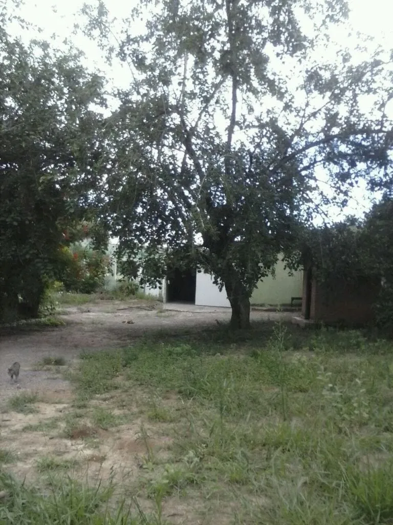 Imagem Chácara à venda 2 Quartos, João Daniel, Guaratinguetá - SP