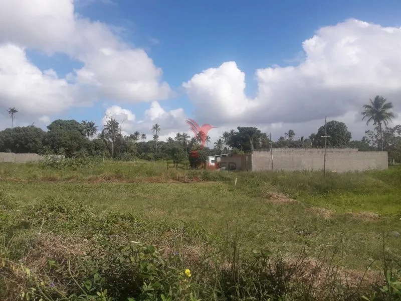 Imagem Terreno 304m² Nova Cruz Igarassu/PE