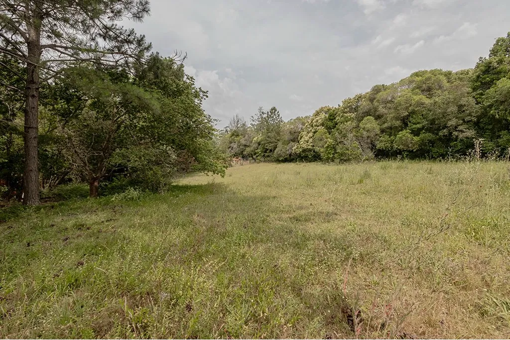 Imagem Terreno em Belém Velho