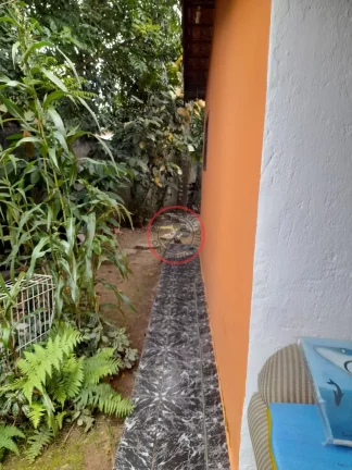 Imagem Casa com 3 quartos , + 1casa de com 2 quartos, terreno de 1020 metros, próximo a praia (200METROS) e de todo comércio local
