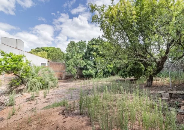 Imagem Terreno/Lote Residencial para venda no bairro Cristal em Porto Alegre
