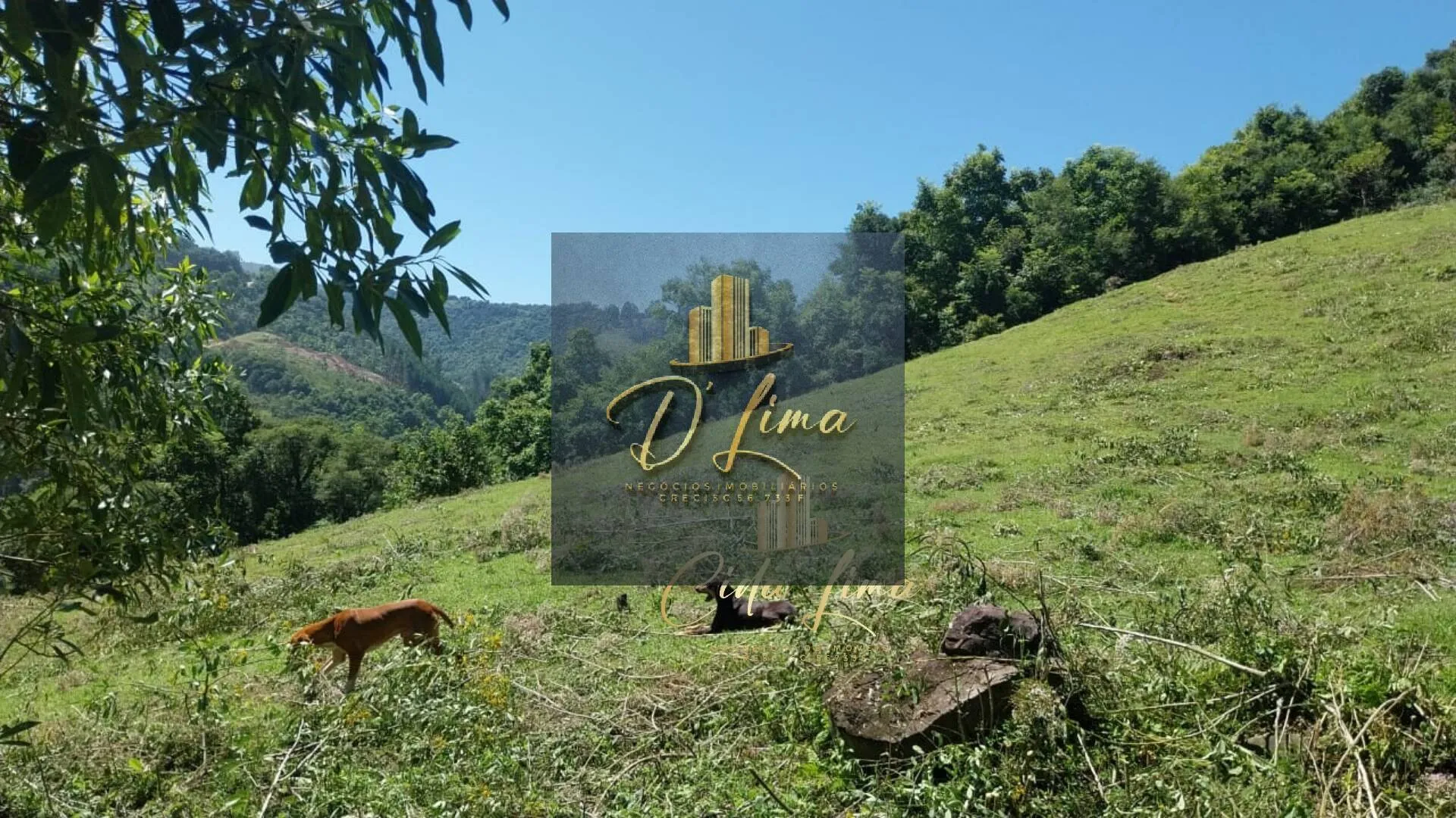 Imagem Vendo sítio/ Chácara, 12 Hectares em Alfredo Wagner SC.