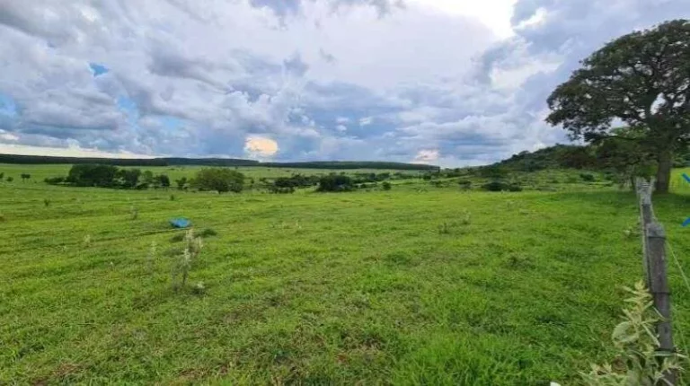 Imagem Fazenda a VENDA, 66 alqueires, Região Bauru