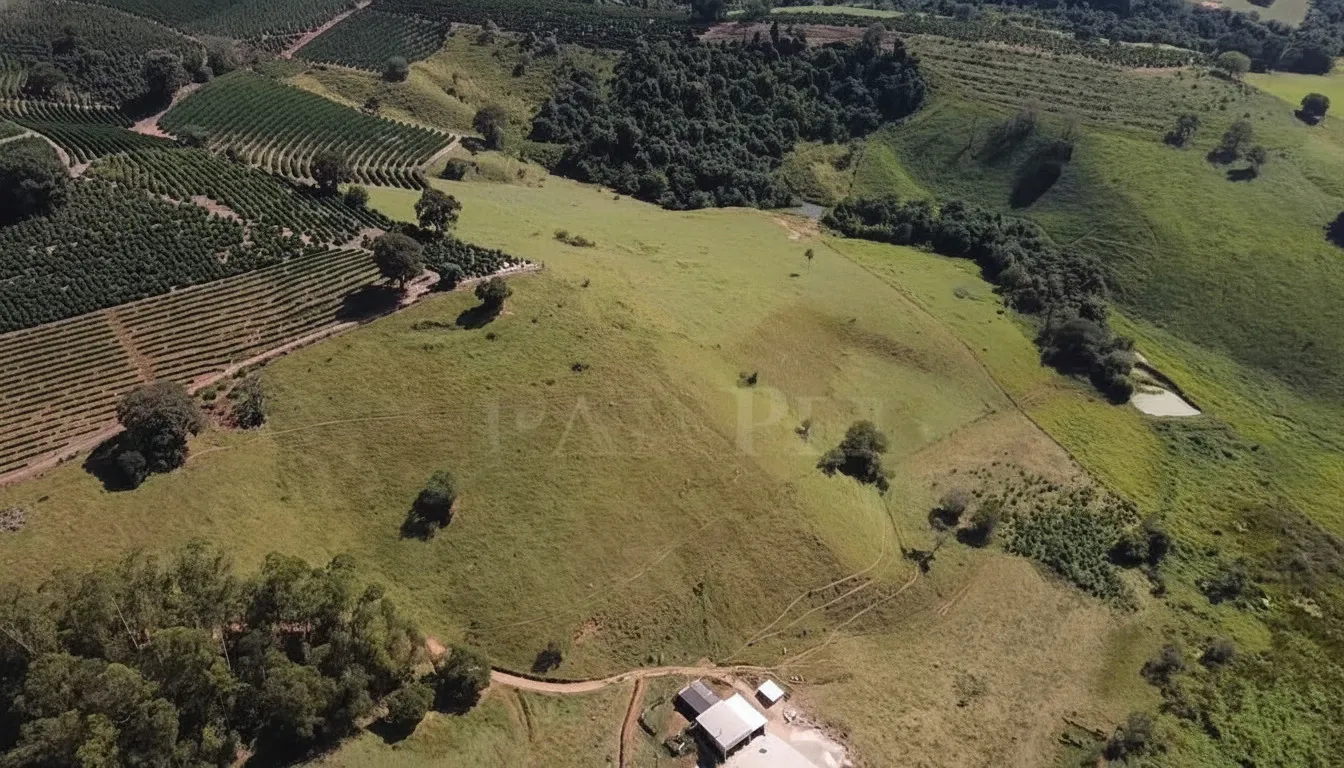Imagem Sítio 5,4 ha à venda em Sertãozinho, Botelhos