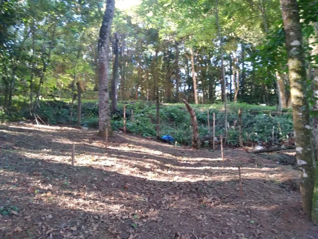 Imagem Terreno no Bairro Hípica