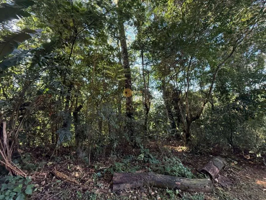 Imagem Terreno em Condomínio para Venda em Guapimirim / RJ no bairro Limoeiro