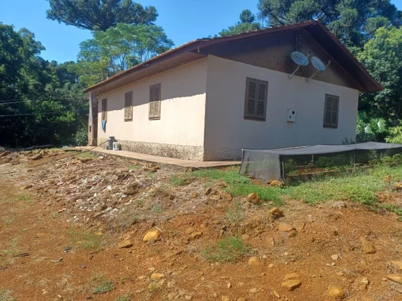 Imagem Área Agrícola para Venda em Concórdia, Interior