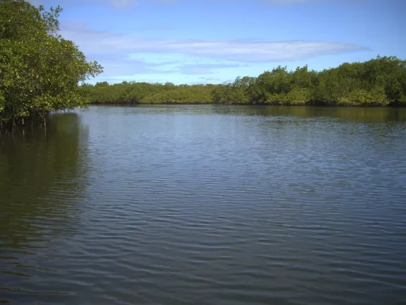Imagem Ilha São Jerônimo