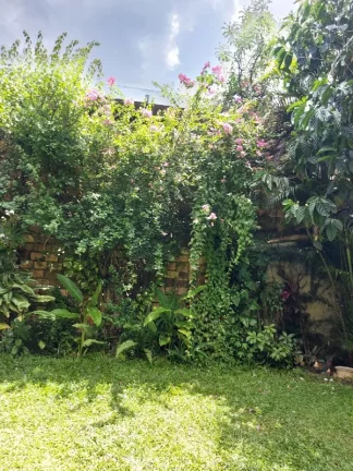 Imagem TERRENO COMERCIAL em MANAUS - AM, CENTRO