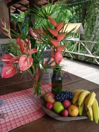 Imagem Sitio em Domingos Martins