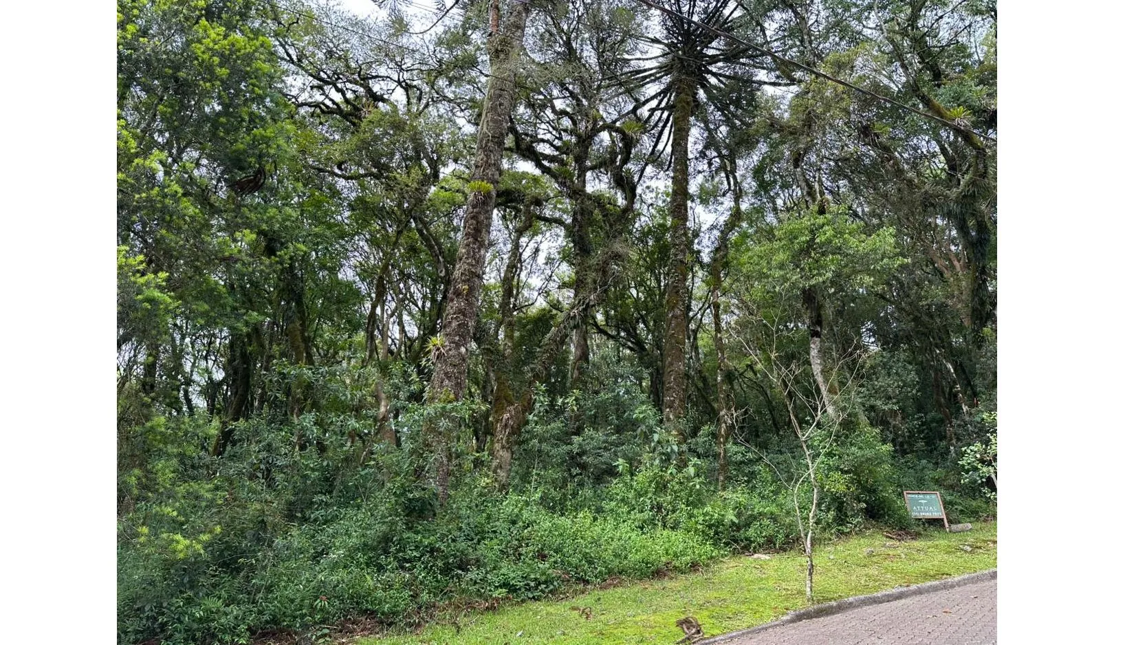 Foto do imóvel Lote à venda em Canela, Parque Pinheiro Grosso, 782.56m2