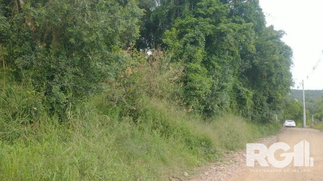 Imagem Terreno em Fiuza