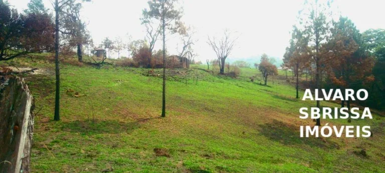 Imagem Sitio com 14,1482 Ha na rodovia Castelo branco em itu/SP