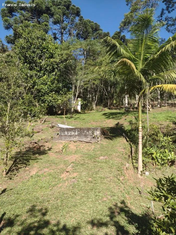 Imagem Sítio para Venda em Ribeirão Pires, Somma, 3 dormitórios, 1 suíte, 2 banheiros, 10 vagas