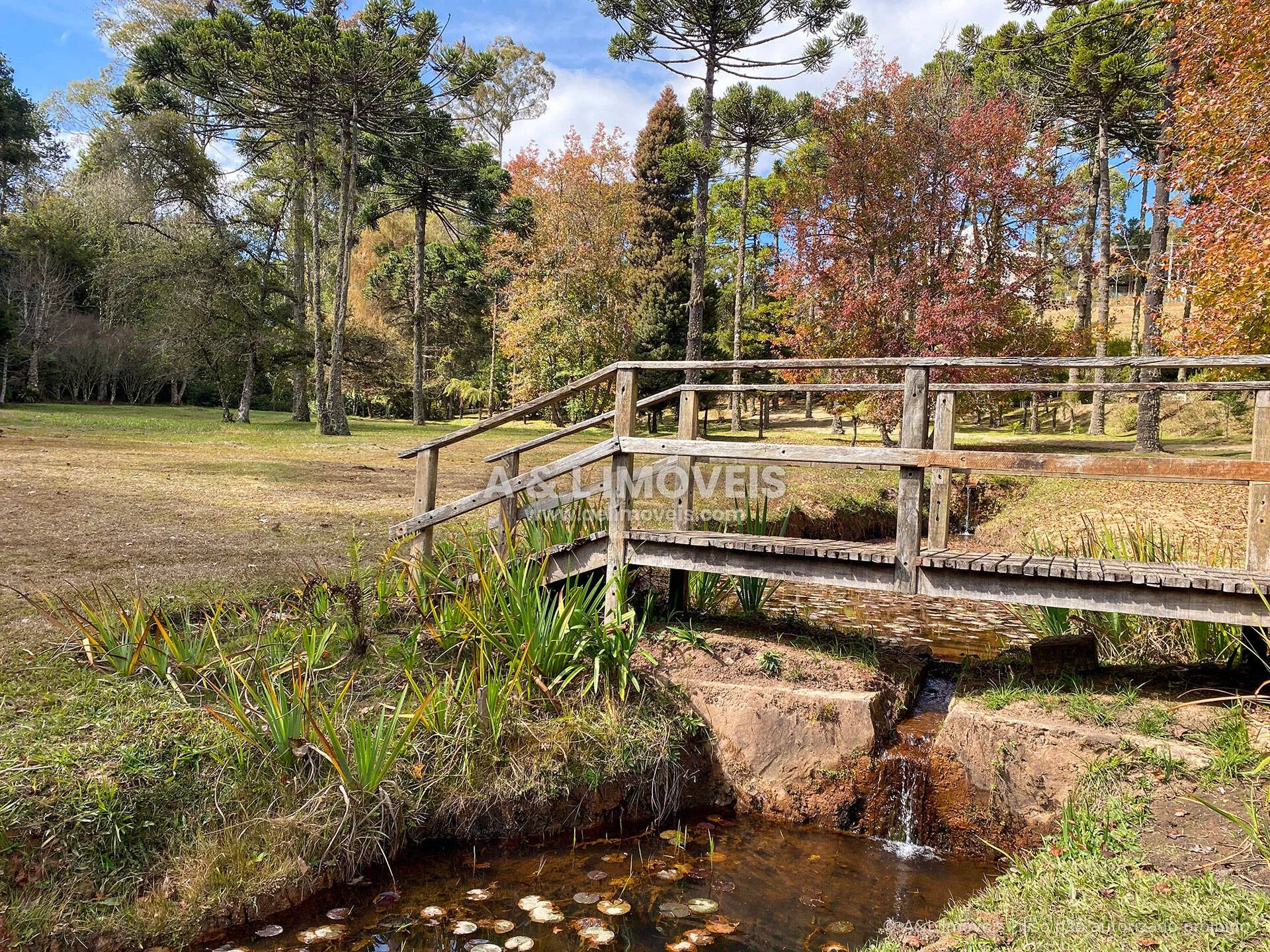 Imagem Lote em Campos do Jordão | 1.111,52 m² | Vista para o Vale