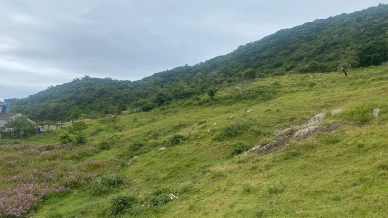 Imagem Terreno à venda na Praia da Silveira, Garopaba-SC: 1.550m² de oportunidade imperdível!
