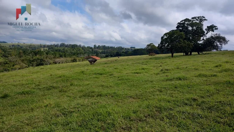 Imagem Fazenda região Itapetininga SP