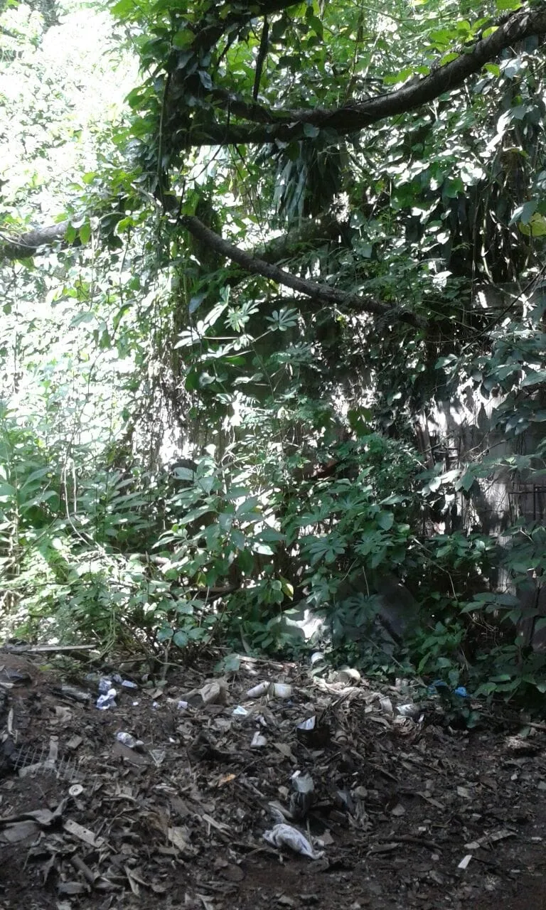 Imagem Terreno à venda 1579M², Santa Luzia, Aparecida - SP