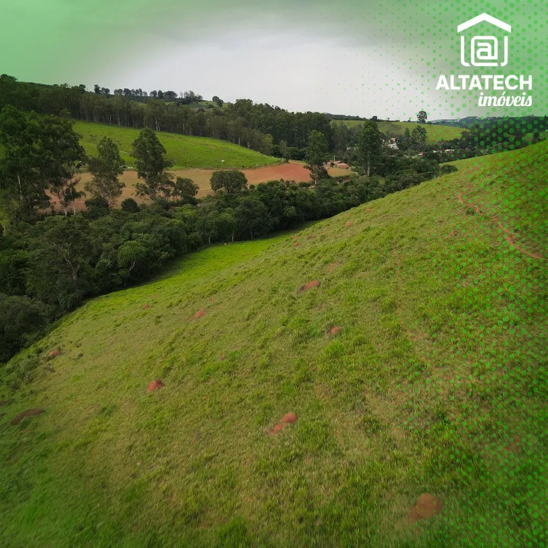 Imagem Sítio 150.000 m² à venda em Roseira, Bandeira do Sul