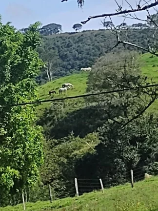 Imagem Fazenda a venda