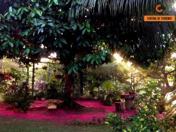 Imagem SITIO EM BARRA DE POJUCA