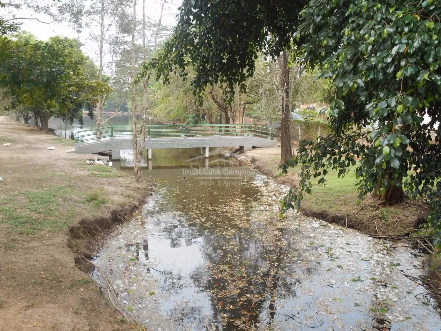 Imagem Terreno no Residencial Shangrilá, à venda, Parque Xangrilá - Campinas/SP