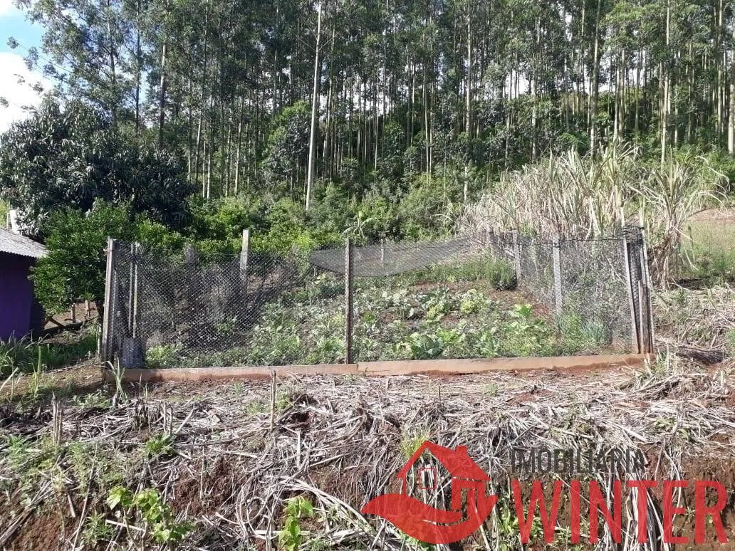 Imagem Chácara com 2 hectares bairro Matiel, Feliz.