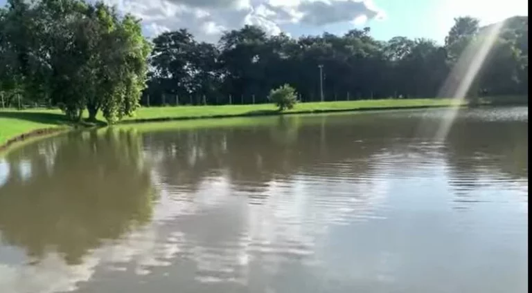 Imagem Sítio a venda em em Itapetininga ( divisa com Tatuí), interior de São Paulo, 600m da rodovia SP12...