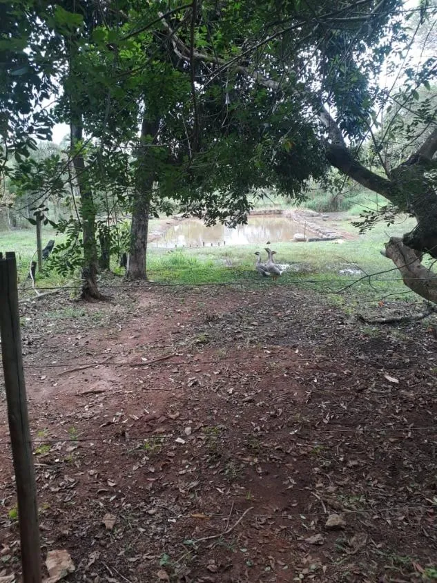 Imagem Venda de Sítio em Igarapé/MG / com 8.000 m²
