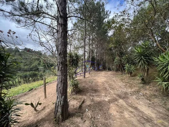 Imagem Excelente Área para Incorporação ou Chácara 18.455 m²