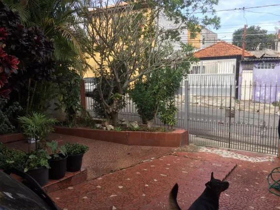 Imagem Casa com 4 Quartos à Venda, 400 m² em Vila Emir - São Paulo